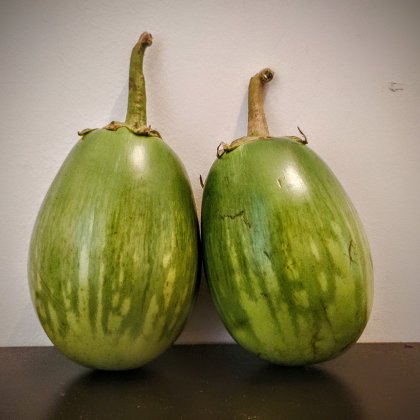 Udupi Gulla (Brinjal)
