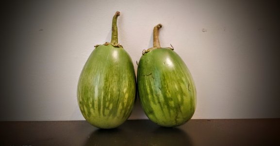 Udupi Gulla - Brinjal 1KG