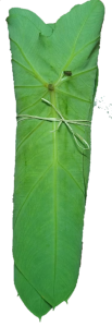 Pathrode Leaf ( Seasonal)