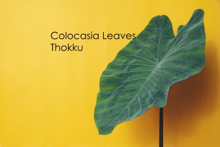 Colocasia Leaves - Thokku